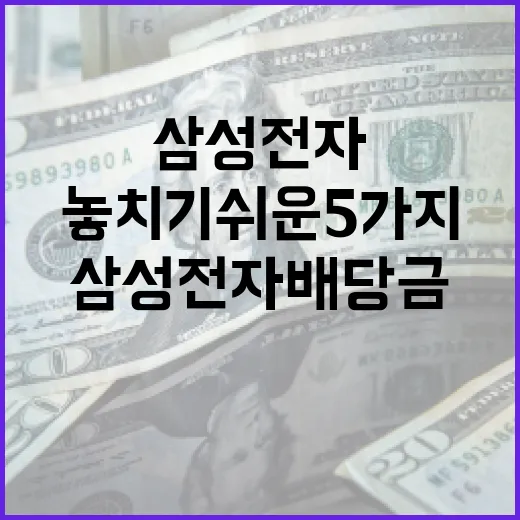 삼성전자배당금 볼 때 놓치기 쉬운 5가지 숫자 - 요약
