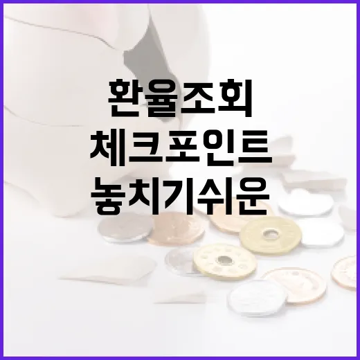 환율조회할 때 놓치기 쉬운 5가지 체크포인트 - 요약
