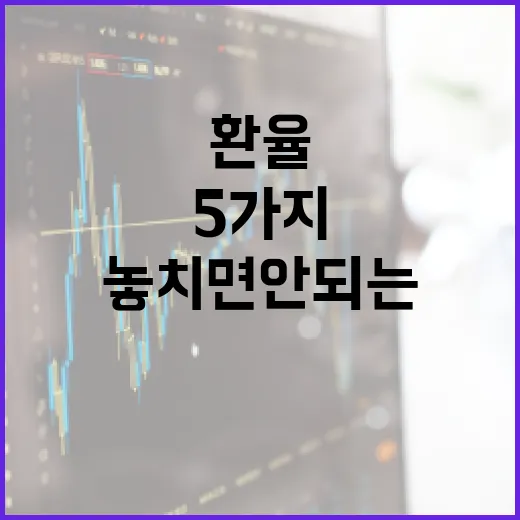 홍콩환율을 볼 때 놓치면 안 되는 5가지 변수 - 요약