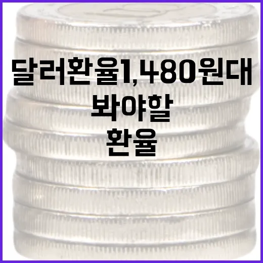 달러환율 1,480원대에서 봐야 할 5가지 변수 - 요약