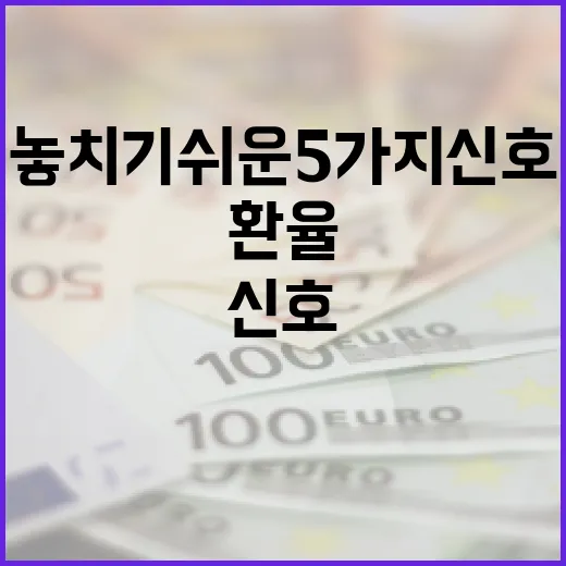 베트남환율을 볼 때 놓치기 쉬운 5가지 신호 - 요약