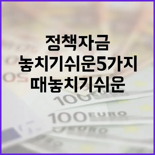 소상공인정책자금 볼 때 놓치기 쉬운 5가지 판단 기준 - 요약