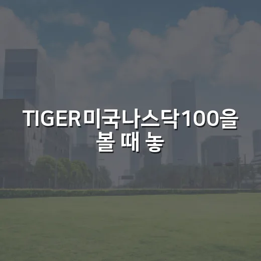 TIGER미국나스닥100을 볼 때 놓치면 안 되는 5가지 숫자 - 요약