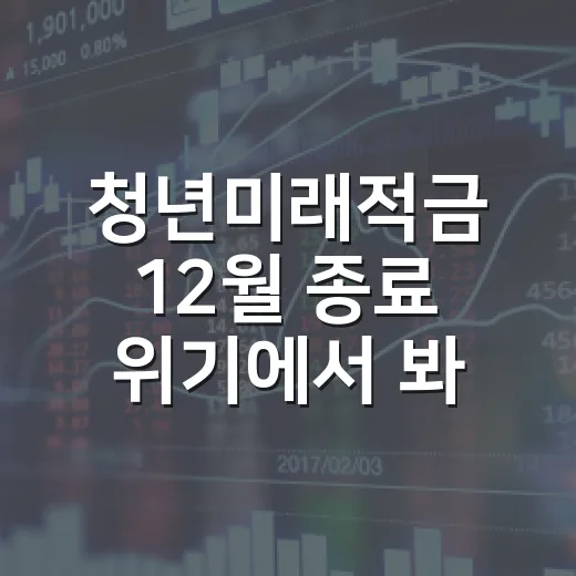 청년미래적금 12월 종료 위기에서 봐야 할 4가지 변수 - 요약