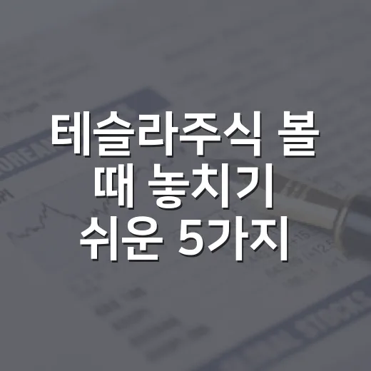 테슬라주식 볼 때 놓치기 쉬운 5가지 변수 - 요약