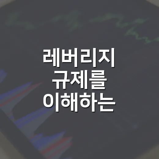 레버리지 규제를 이해하는 4가지 관점: 주가·환율·금리가 흔들릴 때 봐야 할 것 - 요약