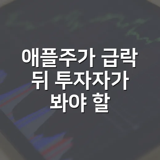 애플주가 급락 뒤 투자자가 봐야 할 5가지 변수 - 요약
