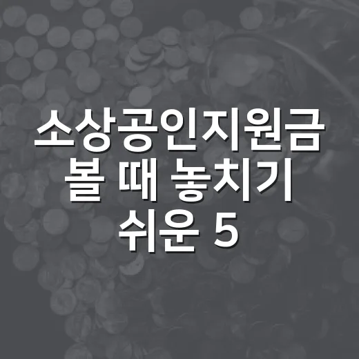 소상공인지원금 볼 때 놓치기 쉬운 5가지 판단 기준 - 요약