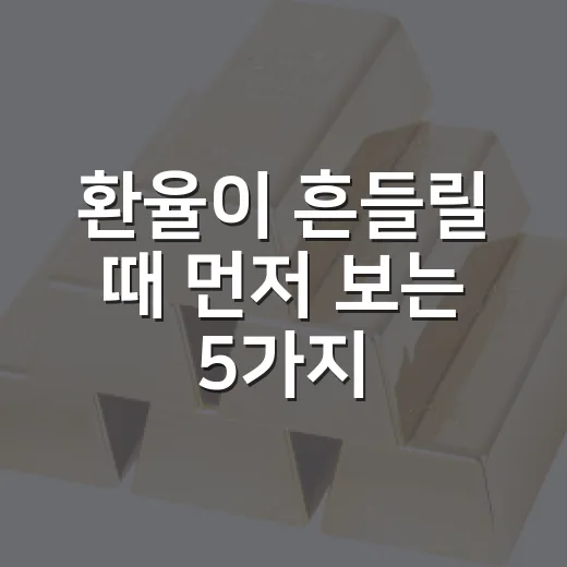 환율이 흔들릴 때 먼저 보는 5가지 숫자 - 요약
