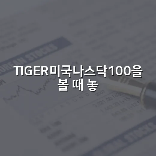 TIGER미국나스닥100을 볼 때 놓치기 쉬운 5가지 판단 기준 - 요약
