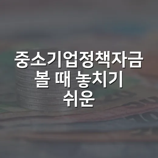중소기업정책자금 볼 때 놓치기 쉬운 5가지 판단 기준 - 요약