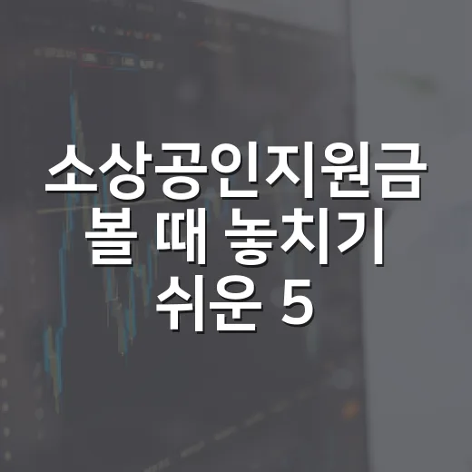 소상공인지원금 볼 때 놓치기 쉬운 5가지 판단 기준 - 요약