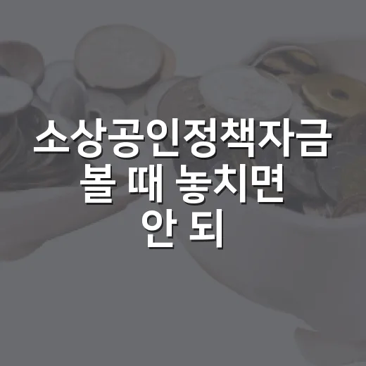 소상공인정책자금 볼 때 놓치면 안 되는 5가지 판단 기준 - 요약