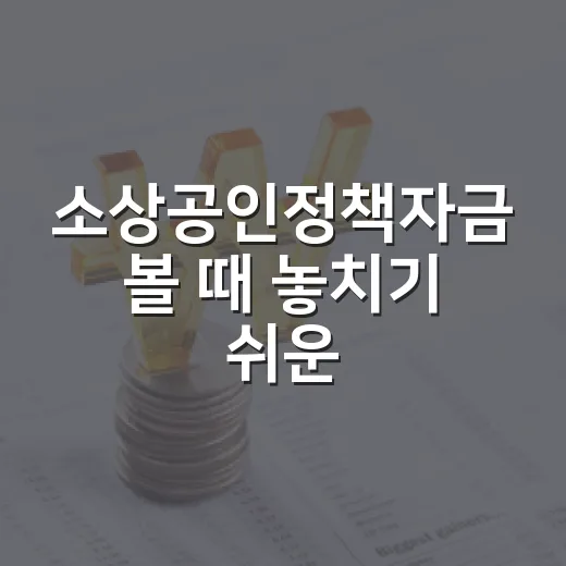 소상공인정책자금 볼 때 놓치기 쉬운 5가지 판단 기준 - 요약