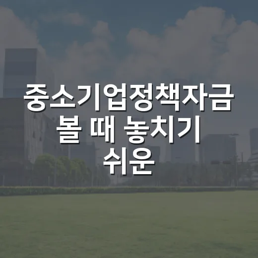 중소기업정책자금 볼 때 놓치기 쉬운 5가지 판단 기준 - 요약
