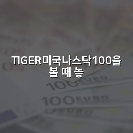 TIGER미국나스닥100을 볼 때 놓치기 쉬운 5가지 체크포인트 - 요약