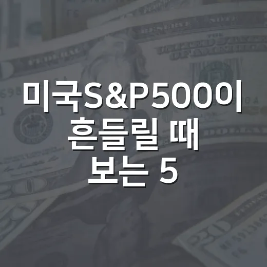 미국S&P500이 흔들릴 때 보는 5가지 변수 - 요약