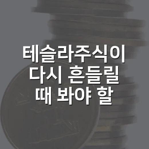 테슬라주식이 다시 흔들릴 때 봐야 할 5가지 변수 - 요약