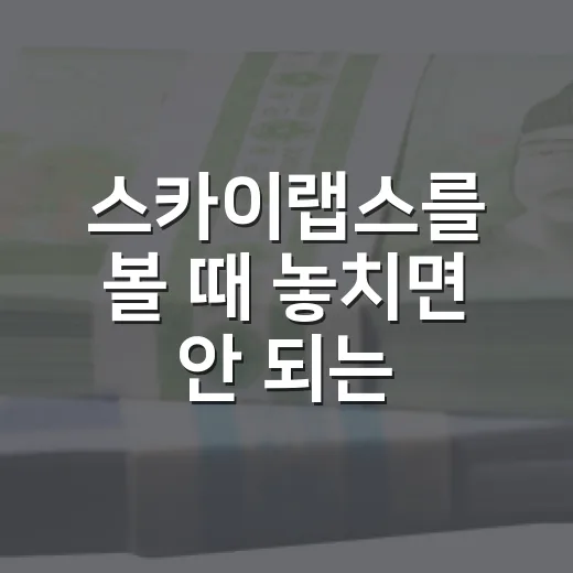 스카이랩스를 볼 때 놓치면 안 되는 5가지 투자 관전 포인트