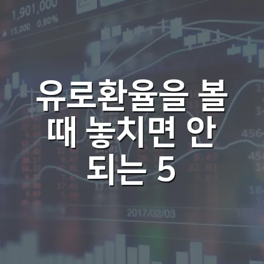 유로환율을 볼 때 놓치면 안 되는 5가지 변수 - 요약