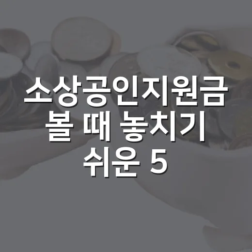 소상공인지원금 볼 때 놓치기 쉬운 5가지 판단 기준 - 요약