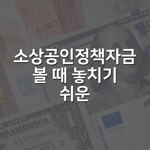 소상공인정책자금 볼 때 놓치기 쉬운 5가지 판단 기준 - 요약