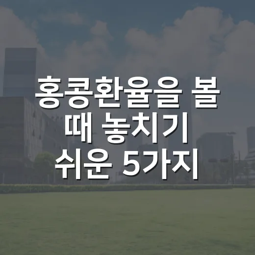 홍콩환율을 볼 때 놓치기 쉬운 5가지 변수 - 요약