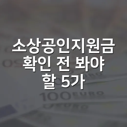 소상공인지원금 확인 전 봐야 할 5가지 기준 - 요약