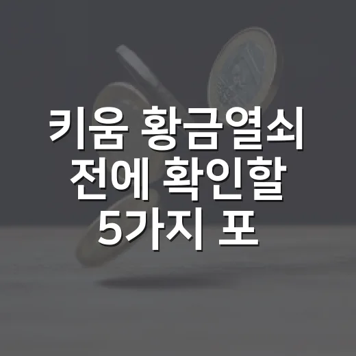 키움 황금열쇠 전에 확인할 5가지 포인트 - 요약