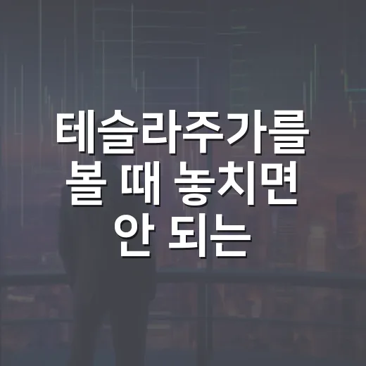 테슬라주가를 볼 때 놓치면 안 되는 5가지 변수 - 요약