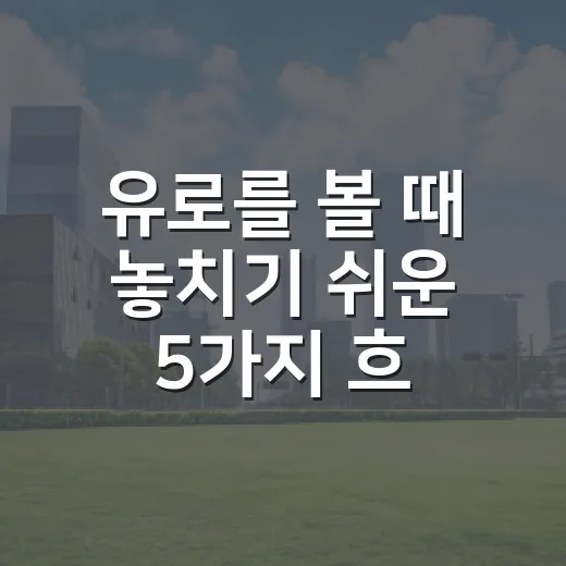 유로를 볼 때 놓치기 쉬운 5가지 흐름 - 요약