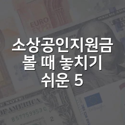 소상공인지원금 볼 때 놓치기 쉬운 5가지 기준 - 요약