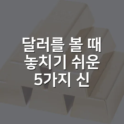 달러를 볼 때 놓치기 쉬운 5가지 신호 - 요약
