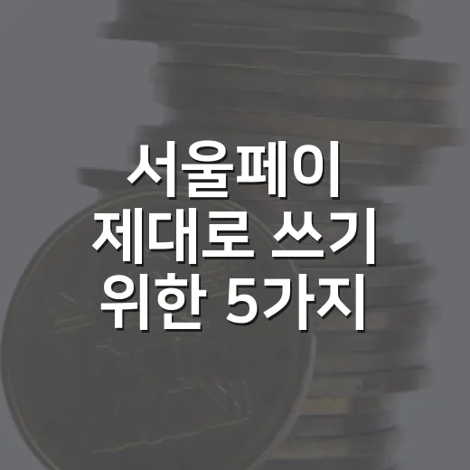 서울페이 제대로 쓰기 위한 5가지 체크포인트 - 요약