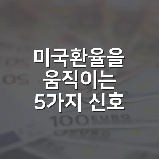미국환율을 움직이는 5가지 신호: 원달러 1350원대의 의미 - 요약