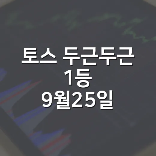토스 두근두근 1등 9월25일, 헷갈리지 않는 5가지 판단 기준 - 요약