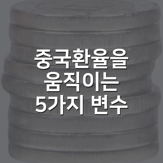 중국환율을 움직이는 5가지 변수: 위안화 강세를 다르게 보는 법 - 요약