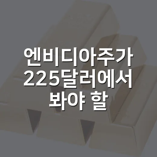 엔비디아주가 225달러에서 봐야 할 5가지 변수 - 요약