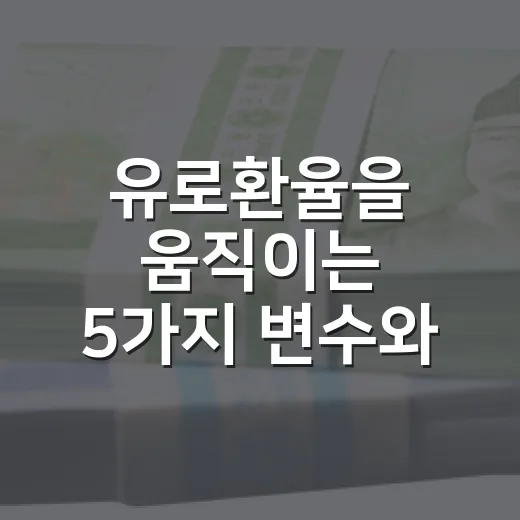 유로환율을 움직이는 5가지 변수와 원화 투자자가 봐야 할 신호 - 요약