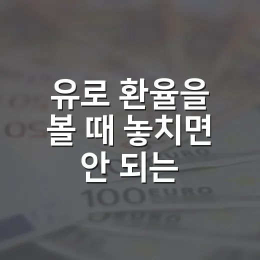 유로 환율을 볼 때 놓치면 안 되는 5가지 변수 - 요약