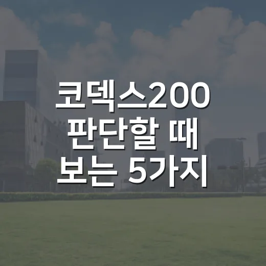 코덱스200 판단할 때 보는 5가지 숫자와 시장 맥락 - 요약