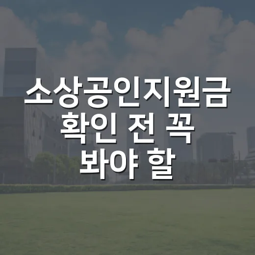 소상공인지원금 확인 전 꼭 봐야 할 5가지 기준 - 요약