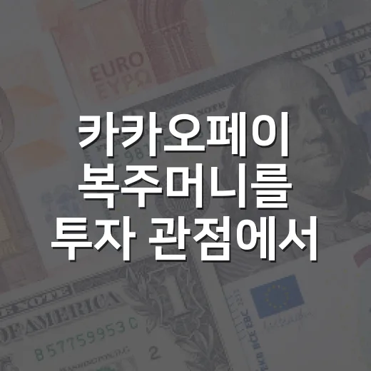 카카오페이 복주머니를 투자 관점에서 보는 5가지 체크포인트 - 요약