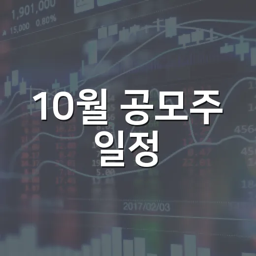 10월 공모주 일정, 증거금 흐름까지 보는 5가지 포인트 - 요약