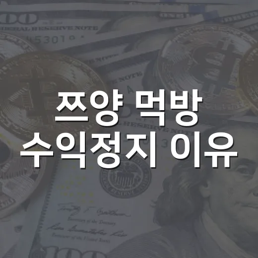 쯔양 먹방 수익정지 이유? 실제로 봐야 할 4가지 변수 - 요약