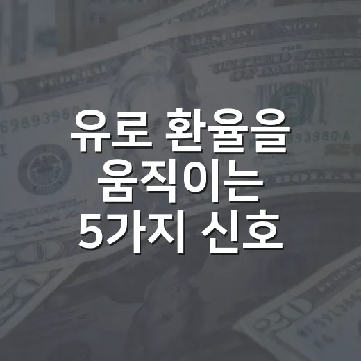 유로 환율을 움직이는 5가지 신호, 달러만 보면 놓치는 흐름 - 요약