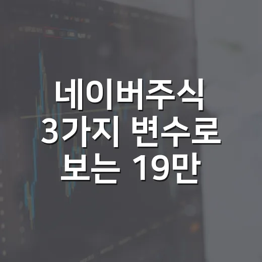 네이버주식 3가지 변수로 보는 19만원대 주가의 의미 - 요약