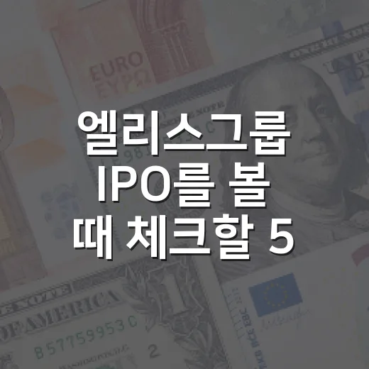 엘리스그룹 IPO를 볼 때 체크할 5가지 관전 포인트 - 요약