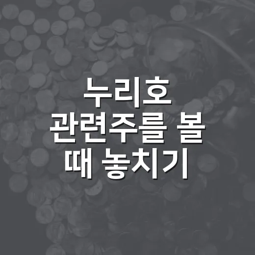 누리호 관련주를 볼 때 놓치기 쉬운 5가지 판단 기준 - 요약