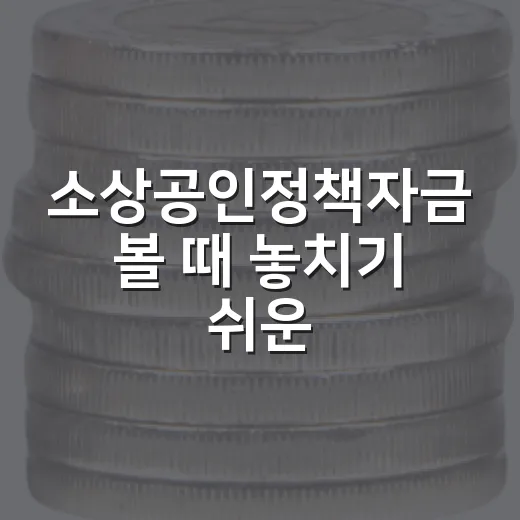 소상공인정책자금 볼 때 놓치기 쉬운 5가지 판단 기준 - 요약